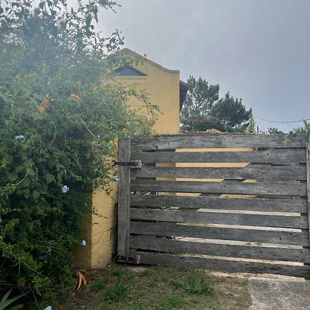 Appartamento Proa Amarilla Punta del Este Esterno foto
